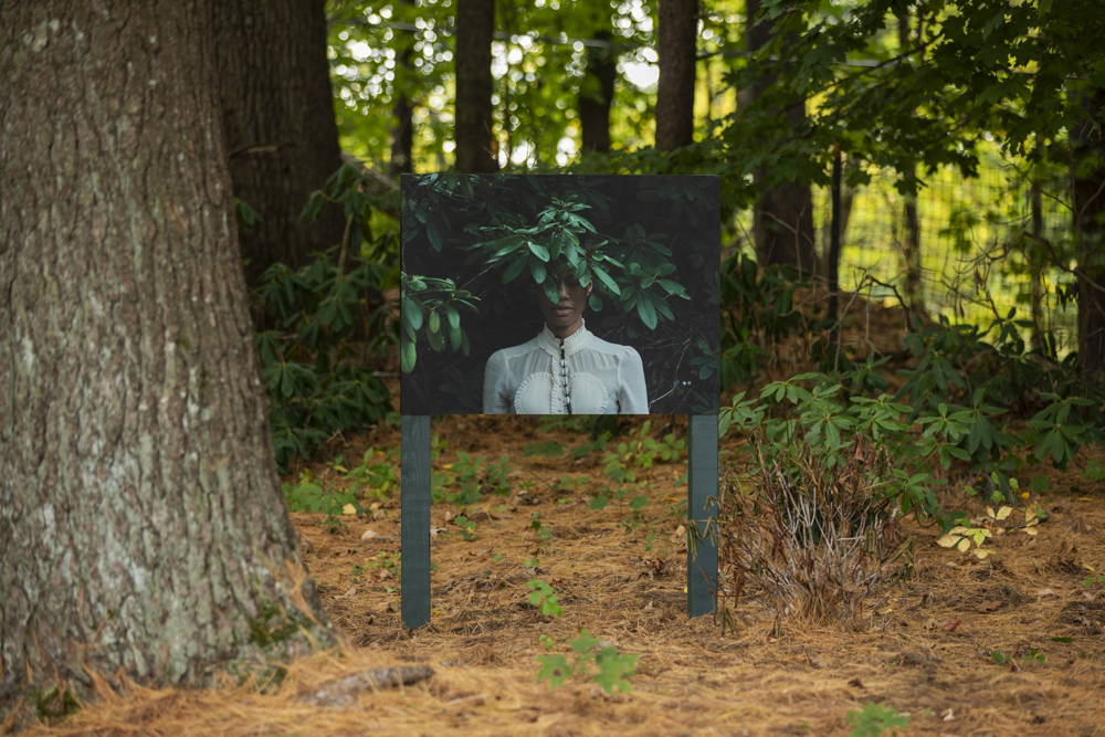 image of a woman with a plant in front of her face with face installed int he woods surrounded by trees.